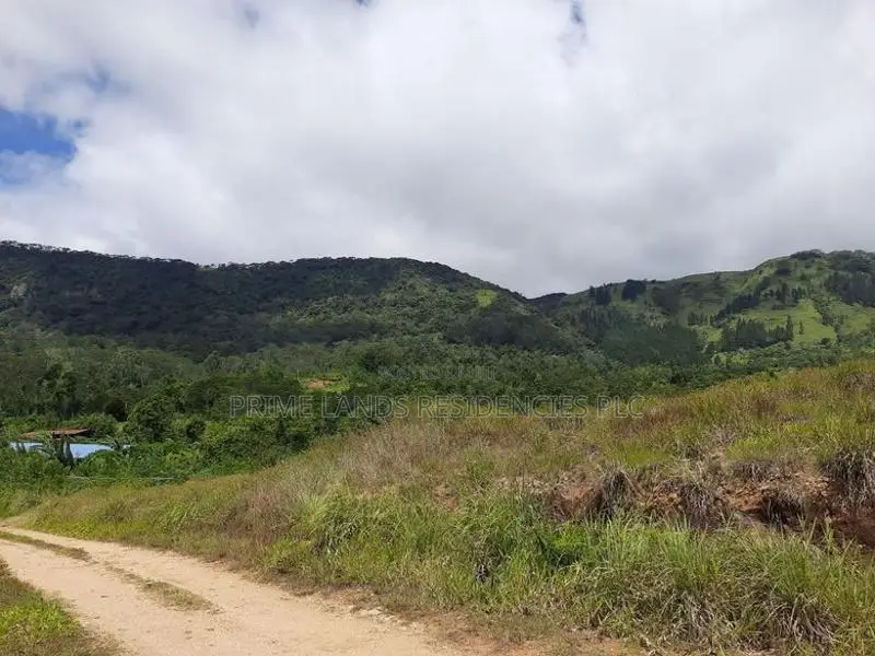 Land for Sale in Delthota