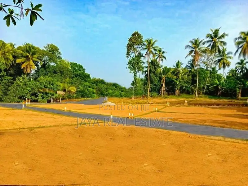 රැකවින් ඉඩමක්