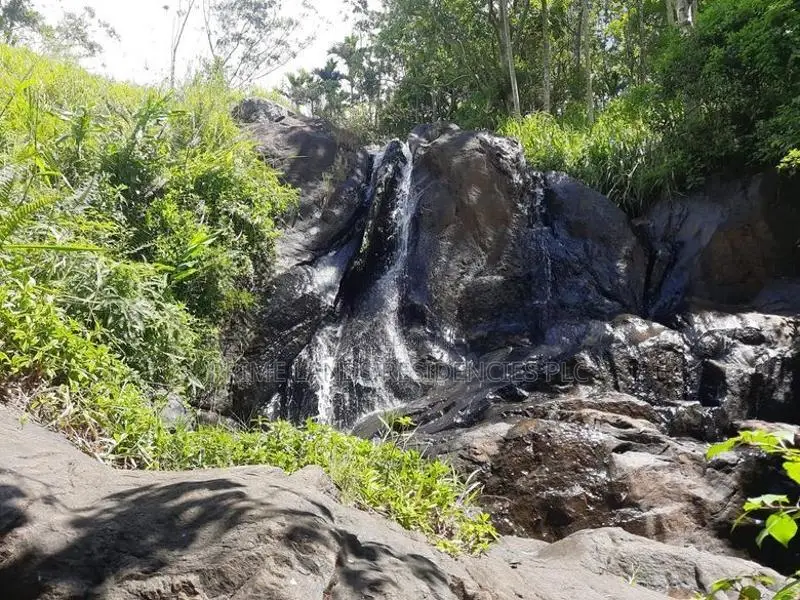 Land for Sale in Delthota
