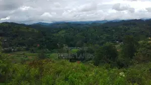 Land for Sale in Bandarawela