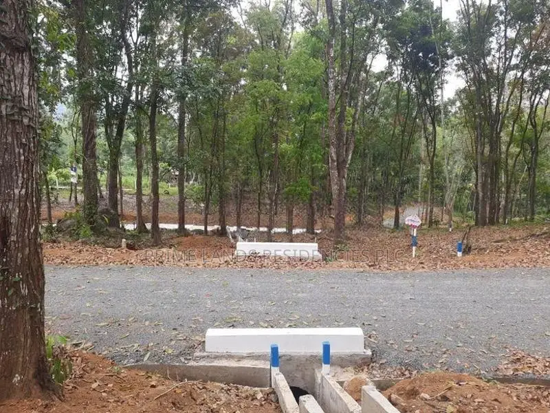 Land for Sale in Nelundeniya