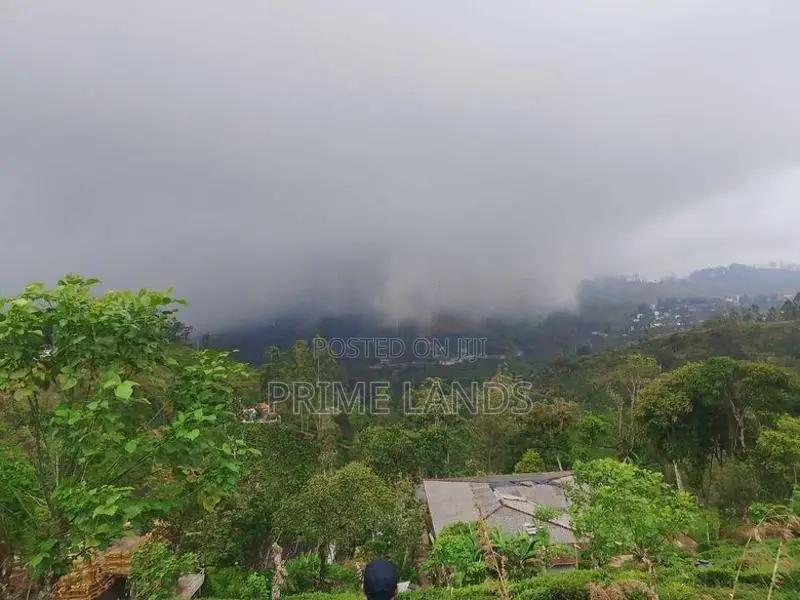 Beautiful Land for Sale in Kandy Galaha