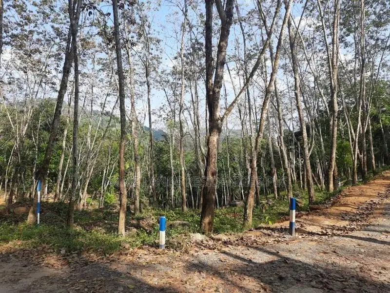 Land for Sale in Nelundeniya