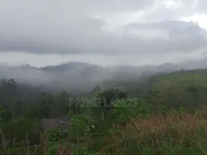 Beautiful Land for Sale in Kandy Galaha