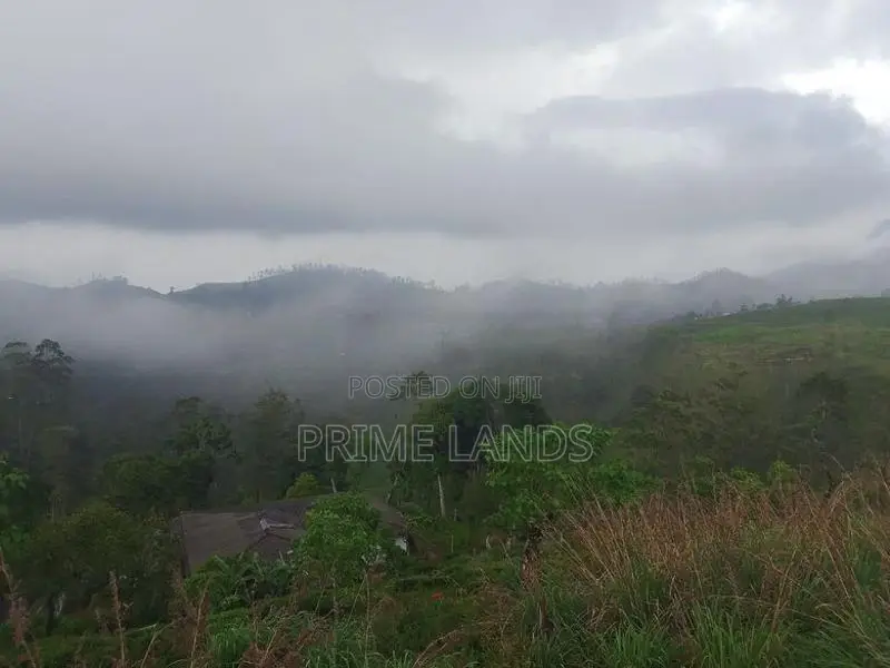 Beautiful Land for Sale in Kandy Galaha