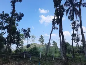 Land for Sale in Nelundeniya