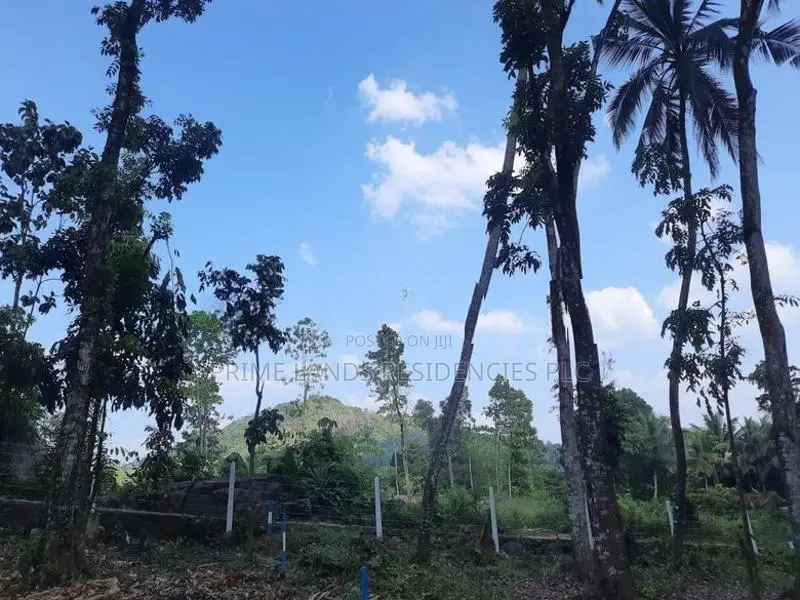 Land for Sale in Nelundeniya