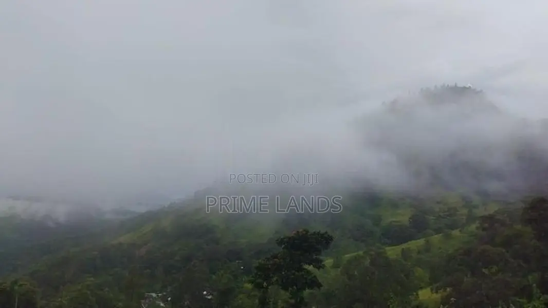 Beautiful Land for Sale in Kandy Galaha