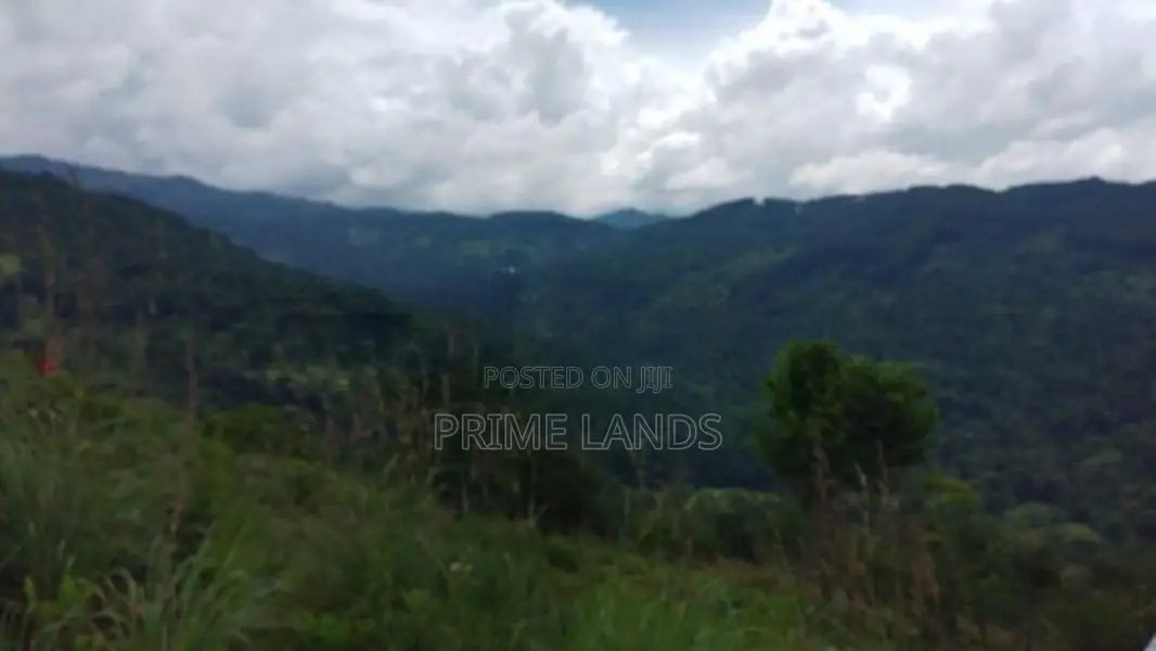 Beautiful Land for Sale in Kandy Galaha