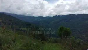 Beautiful Land for Sale in Kandy Galaha