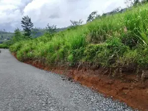 Beautiful Land for Sale in Kandy Galaha