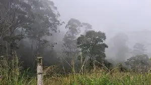 Valuable Land for Sale in Pussellawa Wahurupitiya