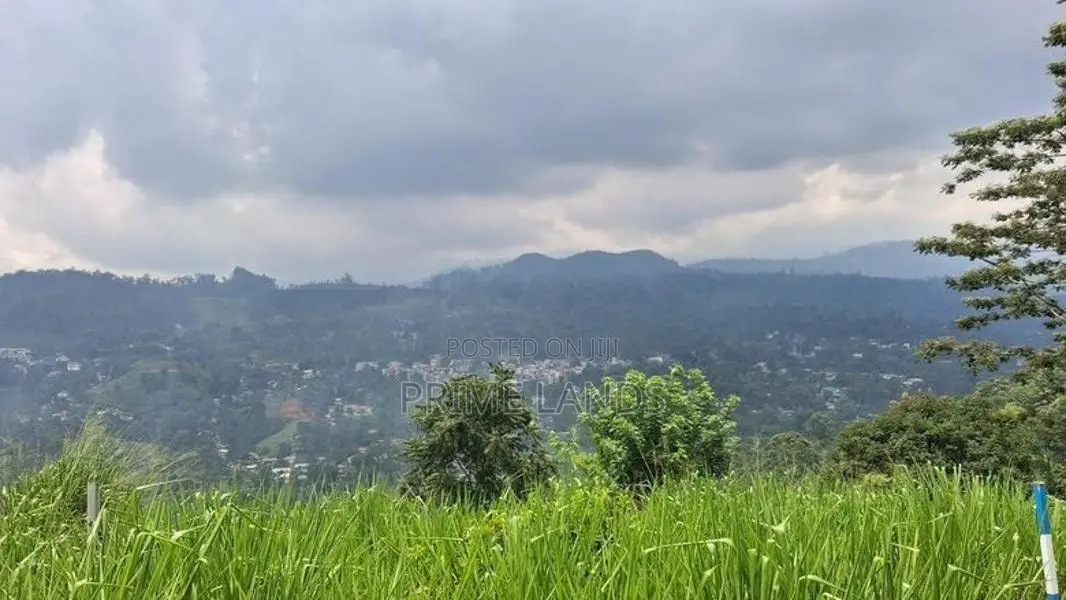 Valuable Land for Sale in Pussellawa Wahurupitiya