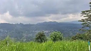 Valuable Land for Sale in Pussellawa Wahurupitiya