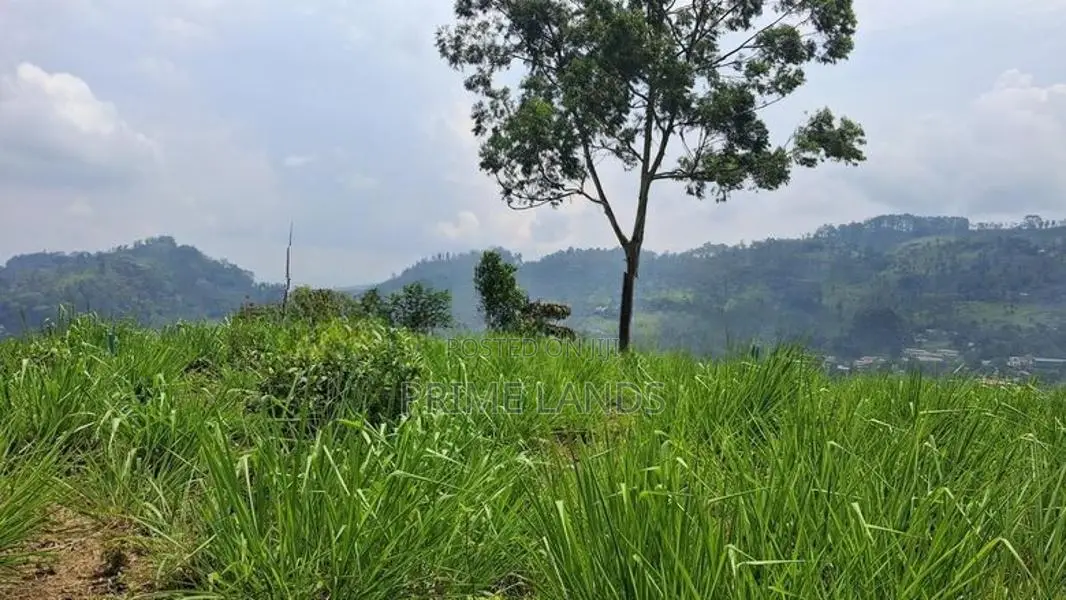 Valuable Land for Sale in Pussellawa Wahurupitiya