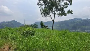 Valuable Land for Sale in Pussellawa Wahurupitiya