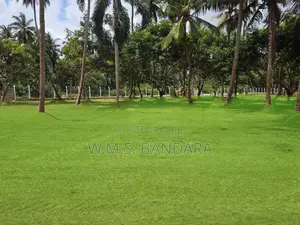 Valueble residental plots Near Pannala U01