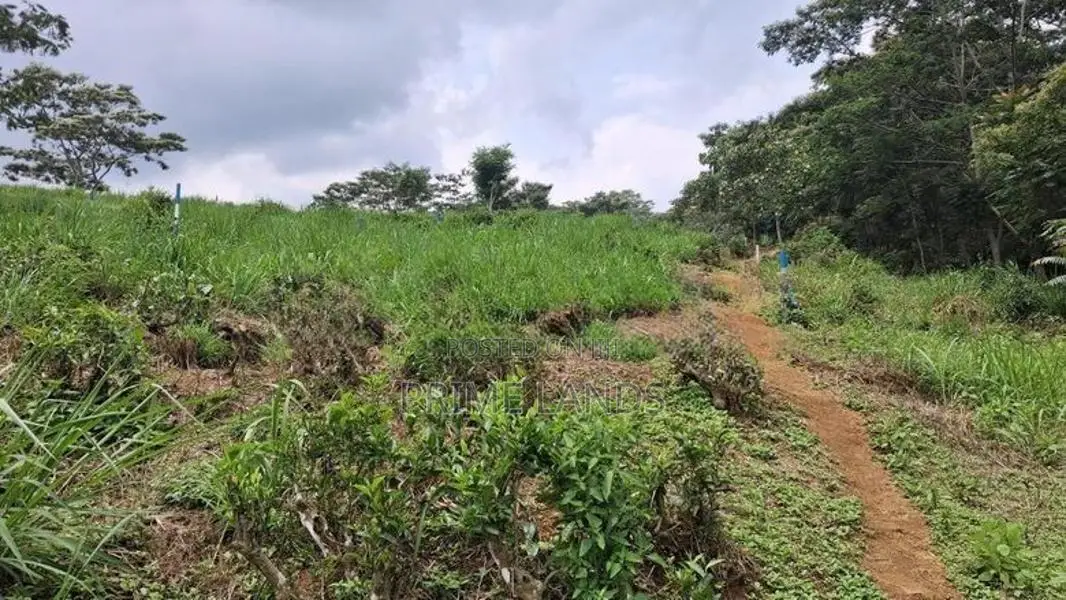 Valuable Land for Sale in Pussellawa Wahurupitiya
