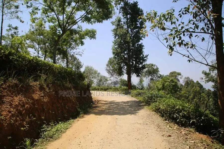 Land for Sale in Pussellawa