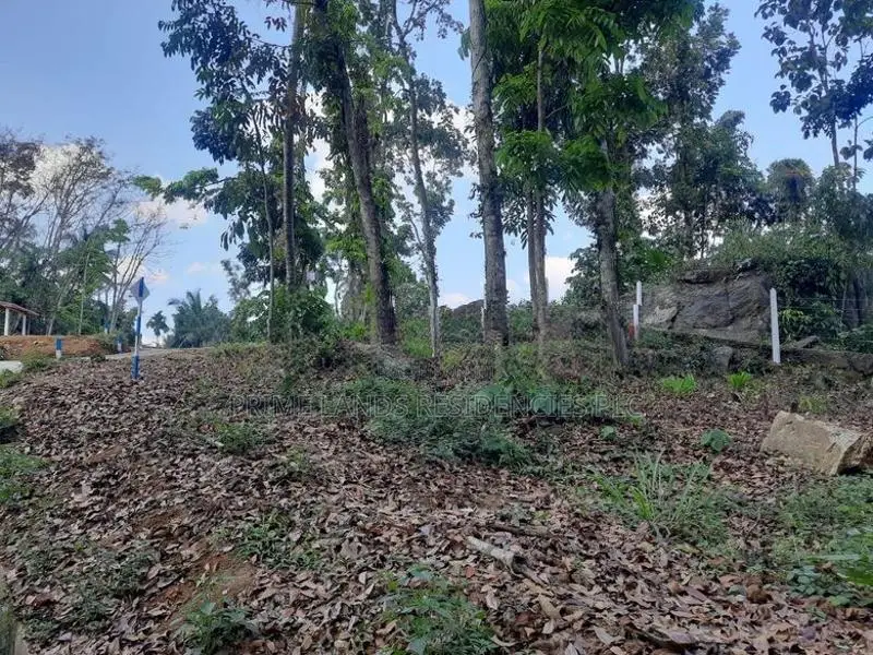 Residential Land for Sale in Nelundeniya