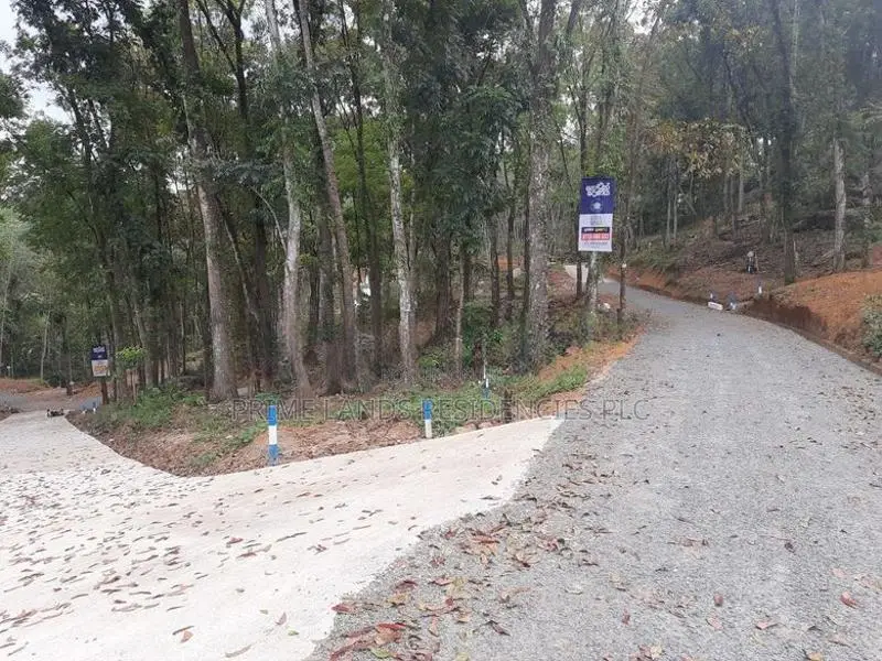 Residential Land for Sale in Nelundeniya