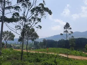 Land for Sale in Ramboda