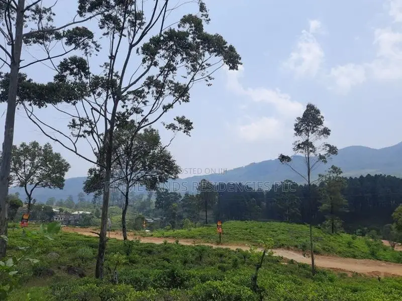 Land for Sale in Ramboda