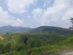 Land for Sale in Ramboda