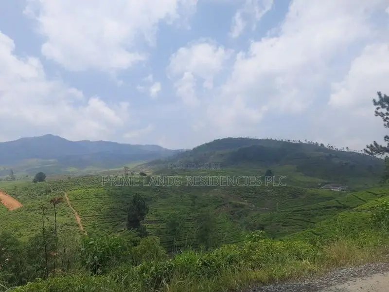 Land for Sale in Ramboda