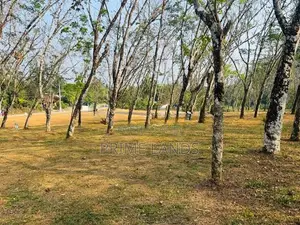 Land for Sale in Horana