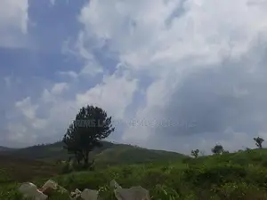 Land for Sale in Ramboda