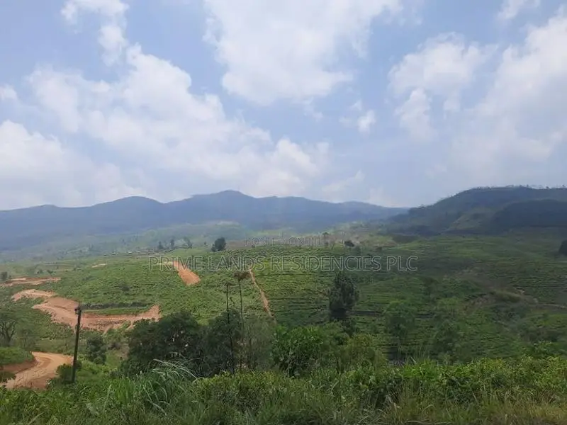 Land for Sale in Ramboda