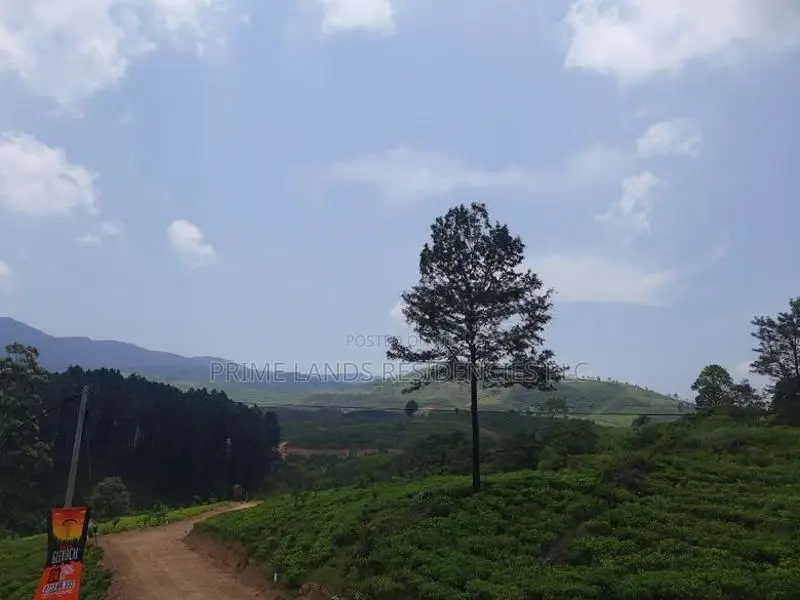 Land for Sale in Ramboda