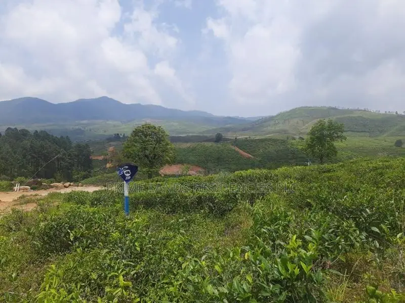 Land for Sale in Ramboda