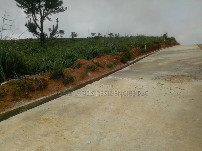 Land for Sale in Ramboda