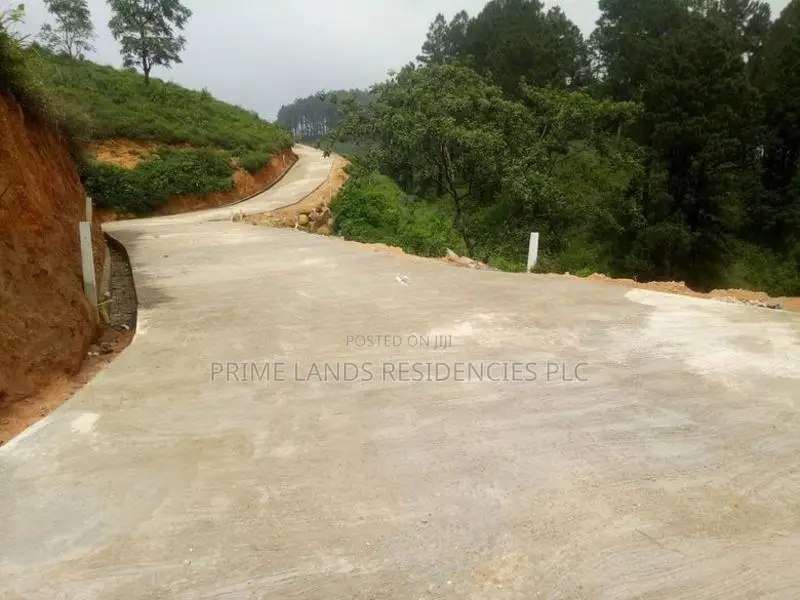 Land for Sale in Ramboda