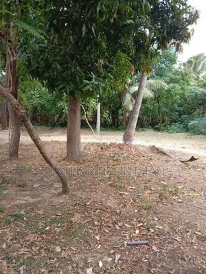 Land for Sale Jaffna