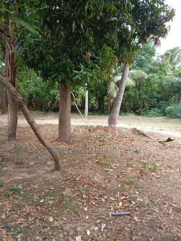 Land for Sale Jaffna