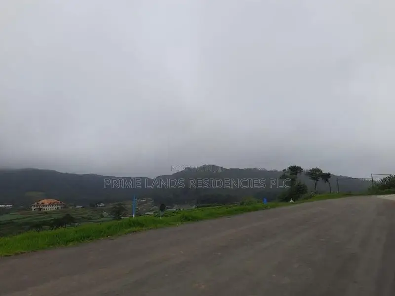 Land for Sale in Meepilimana