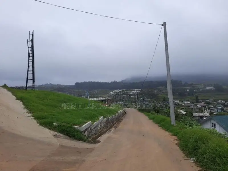 Land for Sale in Meepilimana
