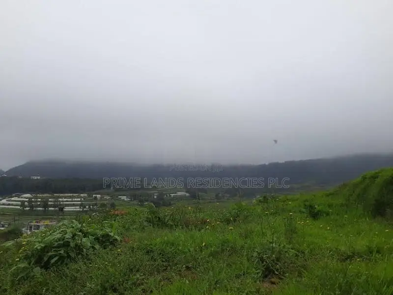 Land for Sale in Meepilimana