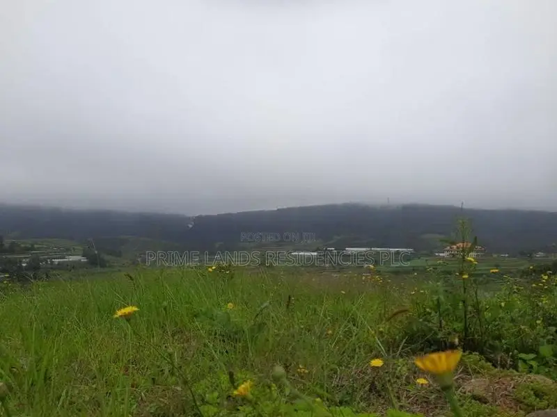 Land for Sale in Meepilimana
