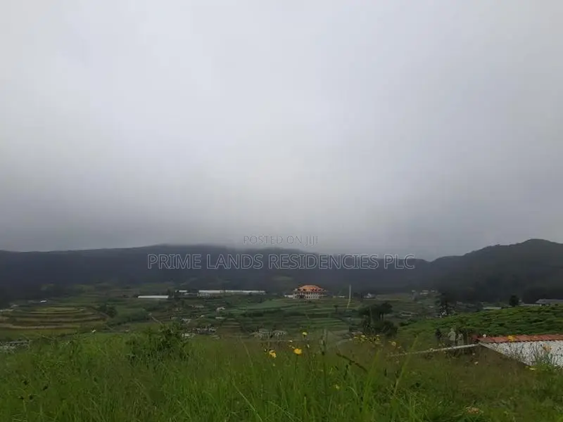 Land for Sale in Meepilimana