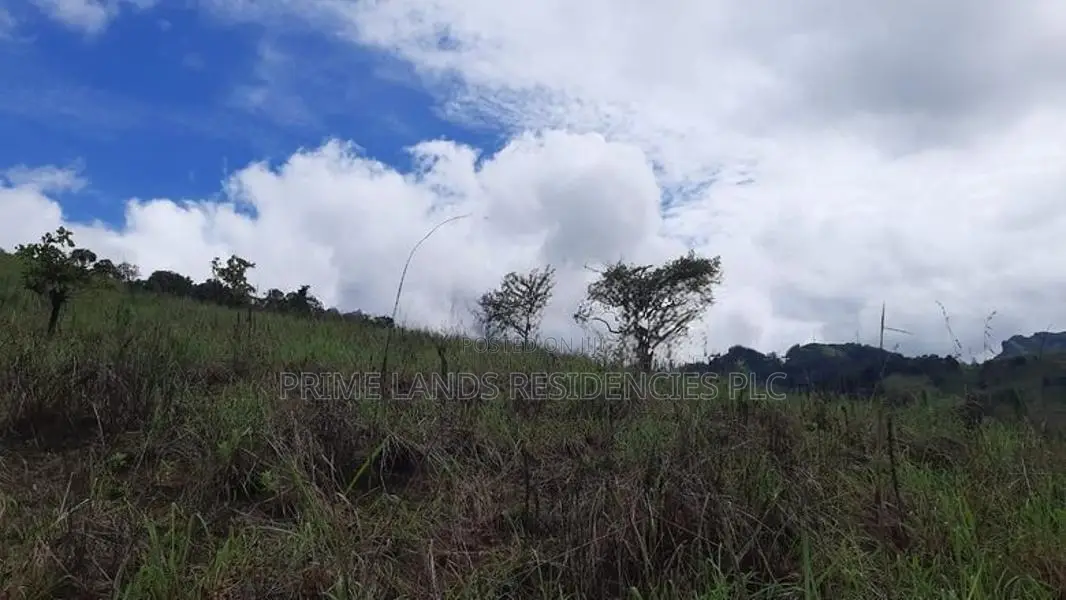 Land for Sale in Nillamba