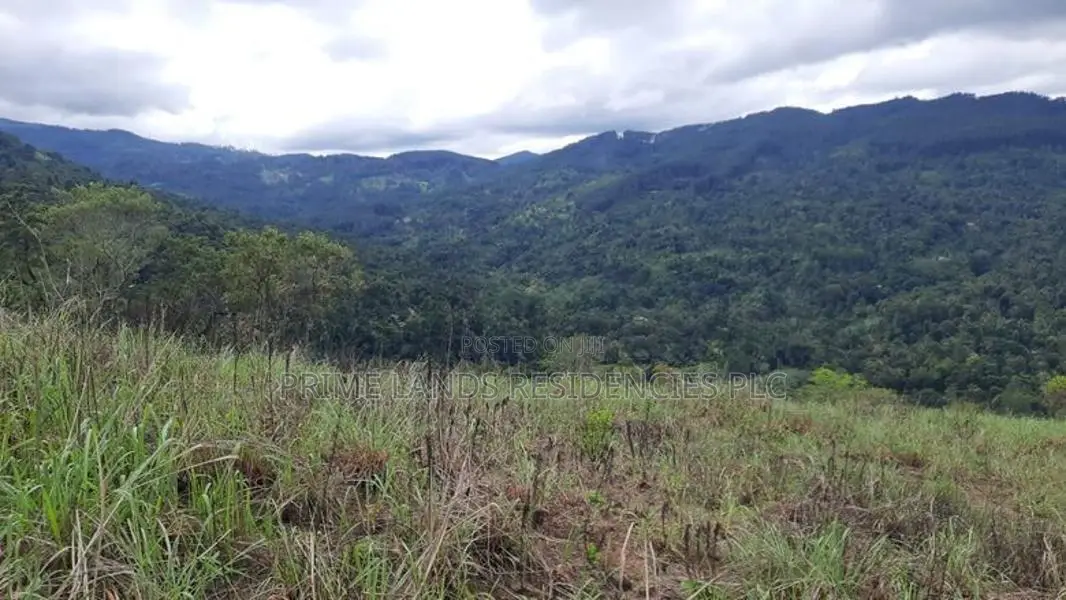 Land for Sale in Nillamba
