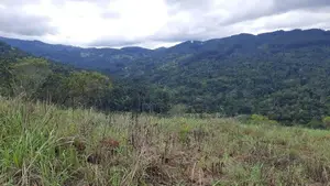 Land for Sale in Nillamba