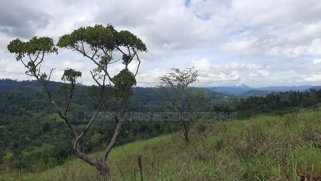 Land for Sale in Nillamba