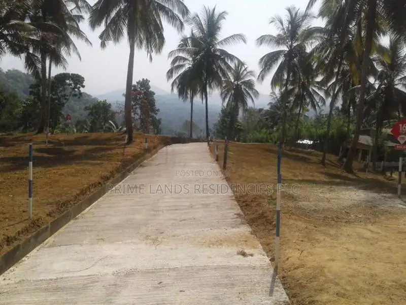 Land for Sale in Madana