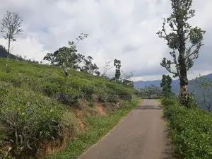 Land for Sale in Pundaluoya