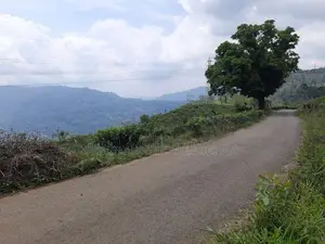 Land for Sale in Pundaluoya